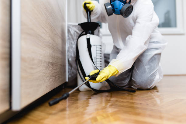Best Affordable Pest Control Services  in Johnson City, TX