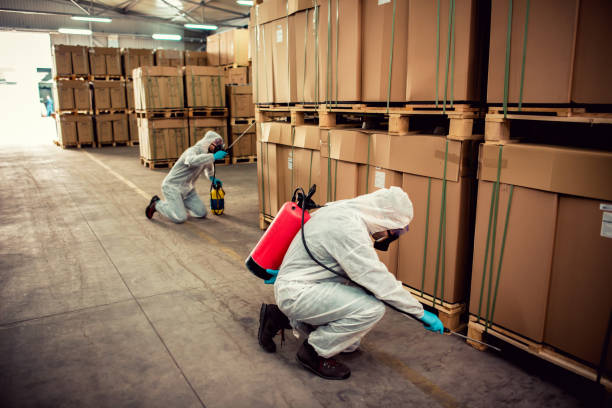 Best Best Pest Control Companies  in Johnson City, TX