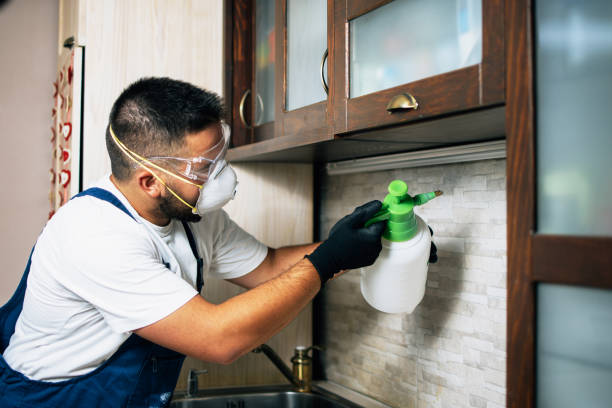 Best Best Pest Control Companies  in Johnson City, TX