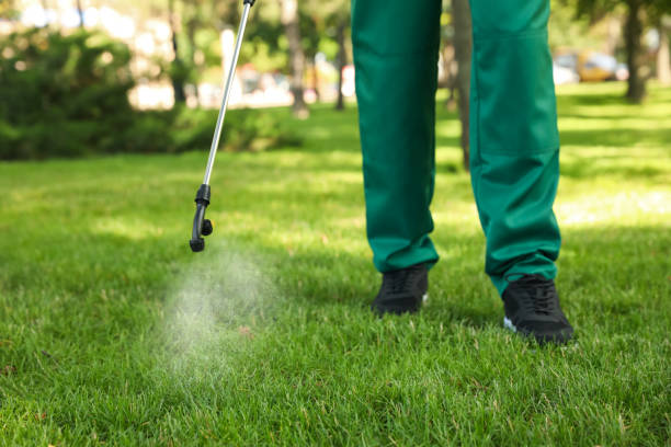 Best Pest Control Near Me  in Johnson City, TX