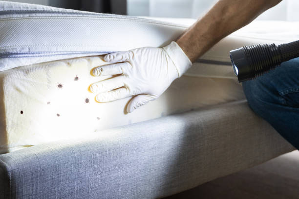 Johnson City, TX Pest Control Company