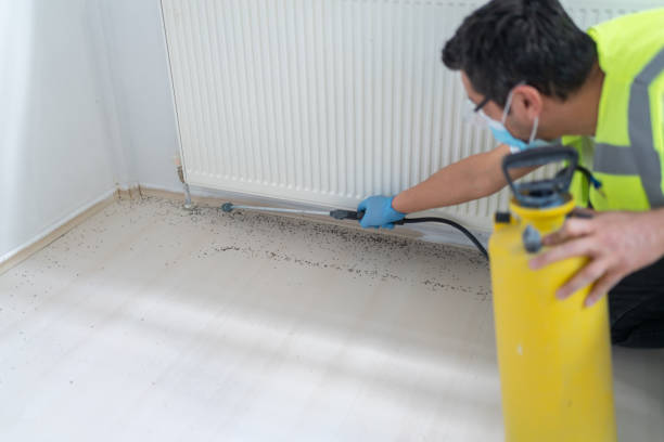 Best Affordable Pest Control Services  in Johnson City, TX